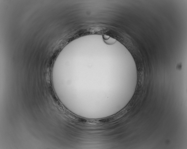 X0000116850510200912220944