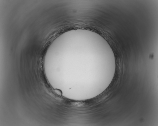 X0000116850511200912220944
