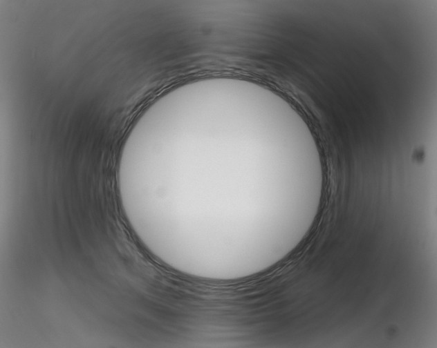 X0000116850513200912220944