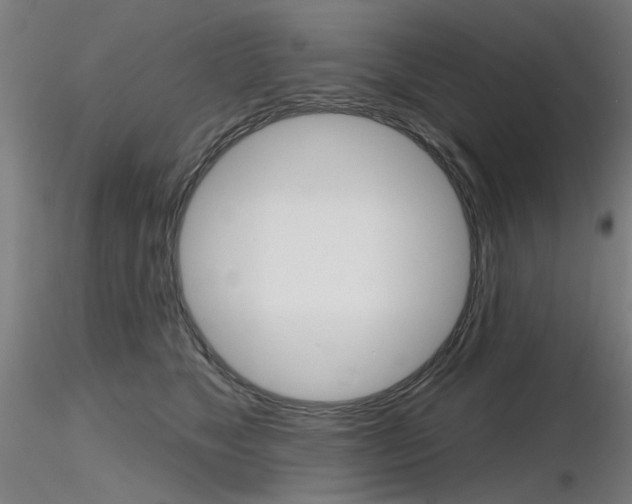 X0000116850517200912220944