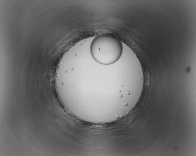 X0000116850519200912220944