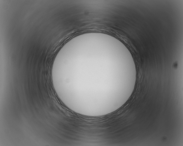 X0000116850521200912220944