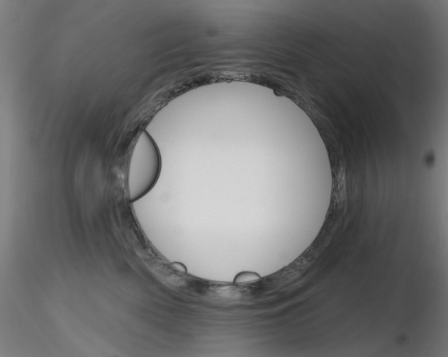 X0000116850522200912220944