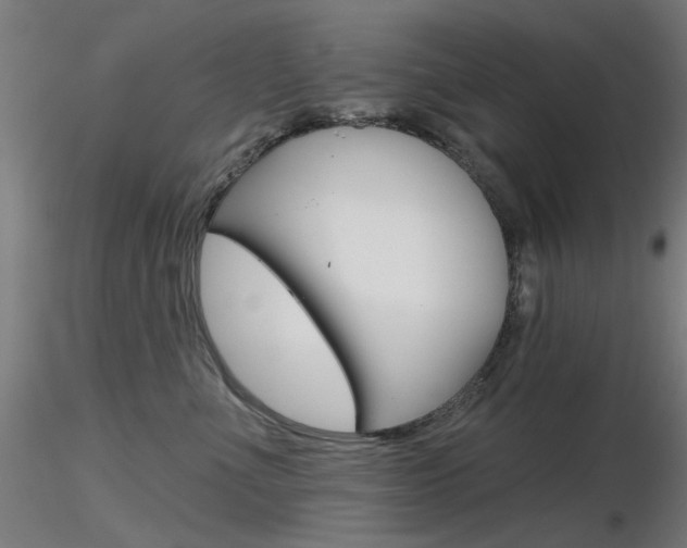 X0000116850523200912220944