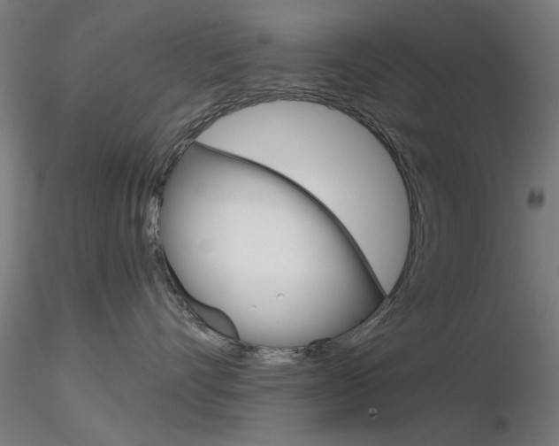 X0000116850528200912220944