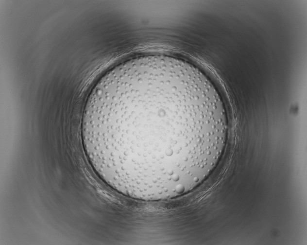 X0000116850529200912220944