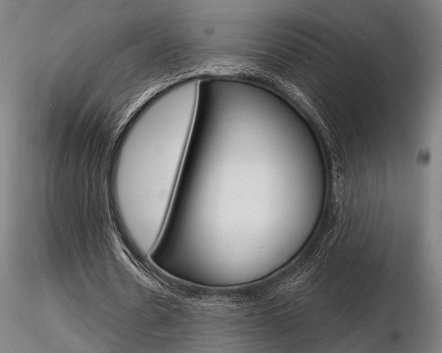 X0000116850530200912220944