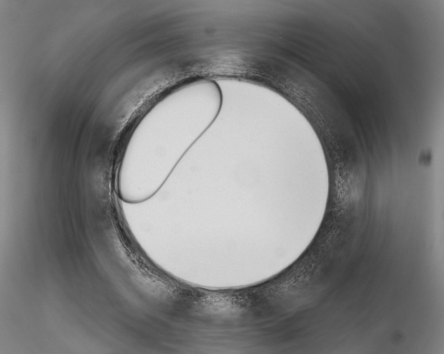 X0000116850534200912220944