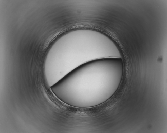 X0000116850538200912220944