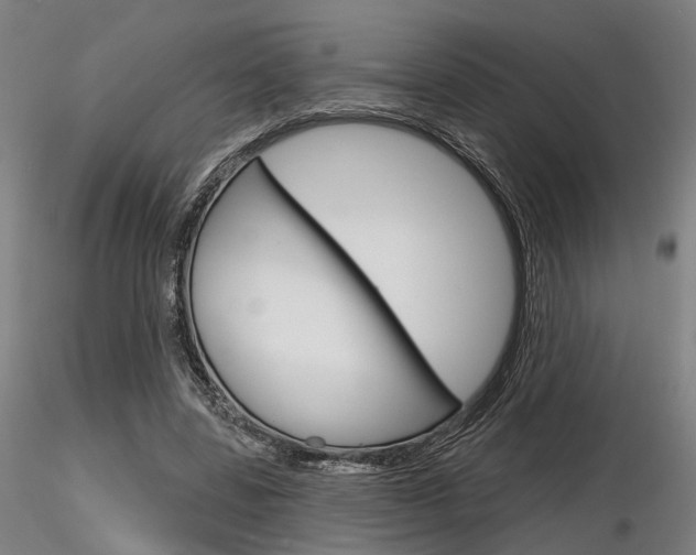 X0000116850539200912220944
