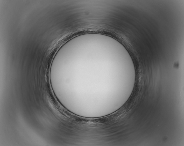 X0000116850542200912220944