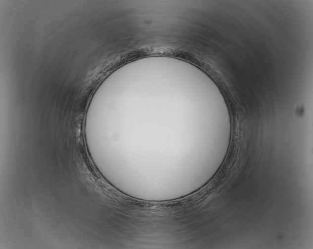 X0000116850545200912220944