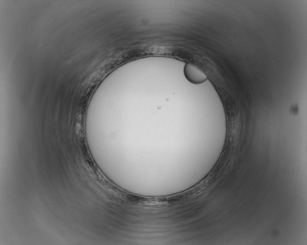 X0000116850553200912220944