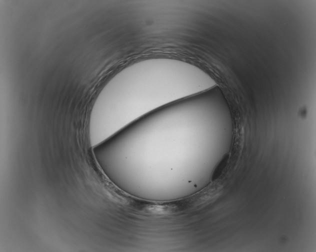 X0000116850558200912220944
