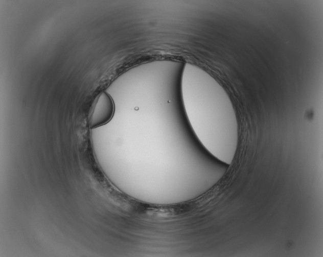 X0000116850559200912220944