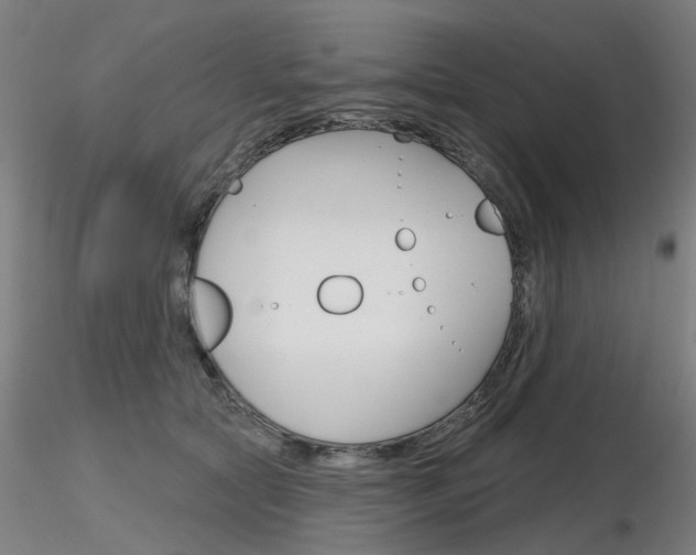 X0000116850561200912220944