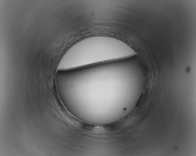 X0000116850562200912220944