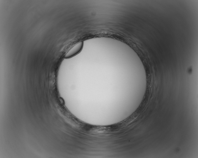 X0000116850563200912220944