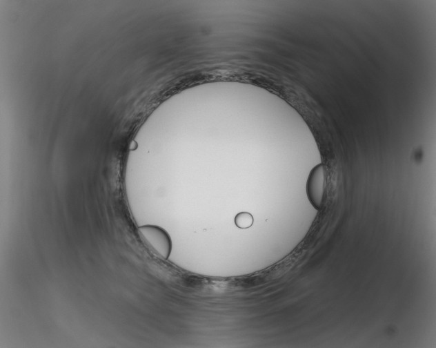 X0000116850565200912220944