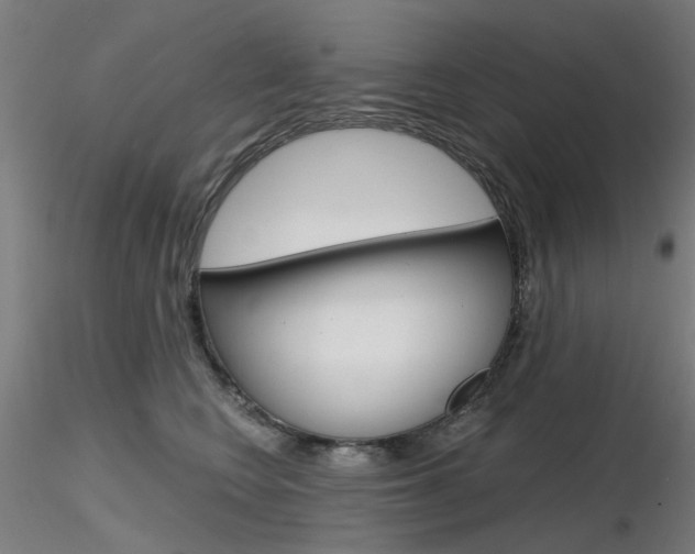 X0000116850566200912220944