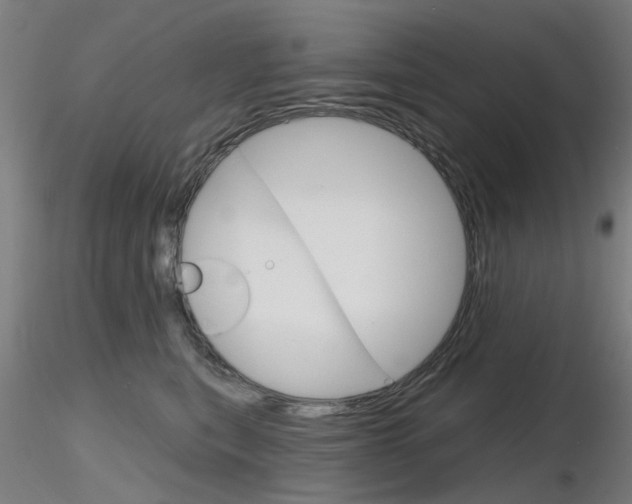 X0000116850567200912220944