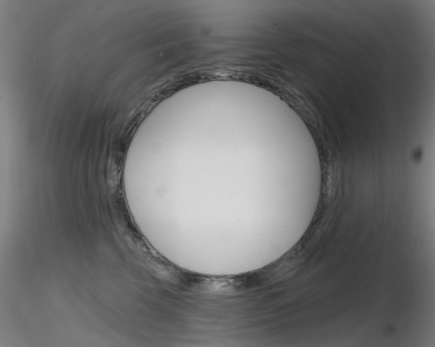 X0000116850569200912220944