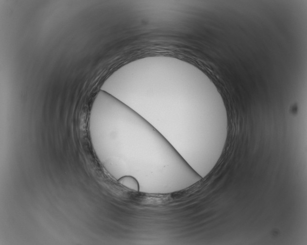 X0000116850571200912220944