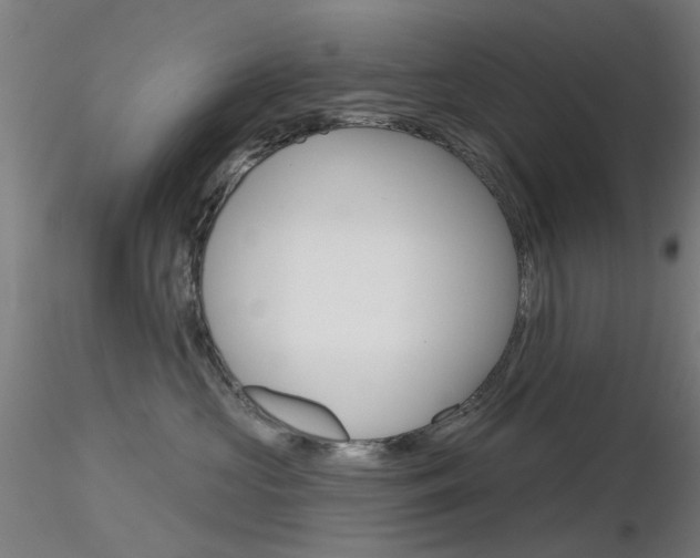 X0000116850573200912220944