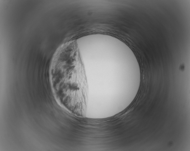 X0000116850575200912220944