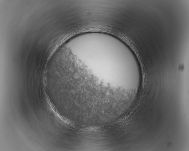 X0000116850578200912220944
