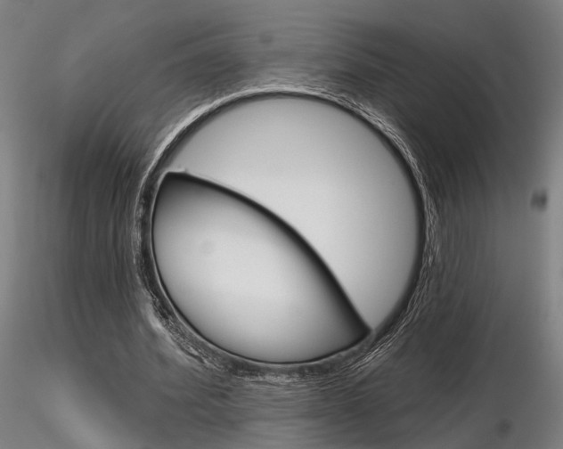 X0000116850580200912220943
