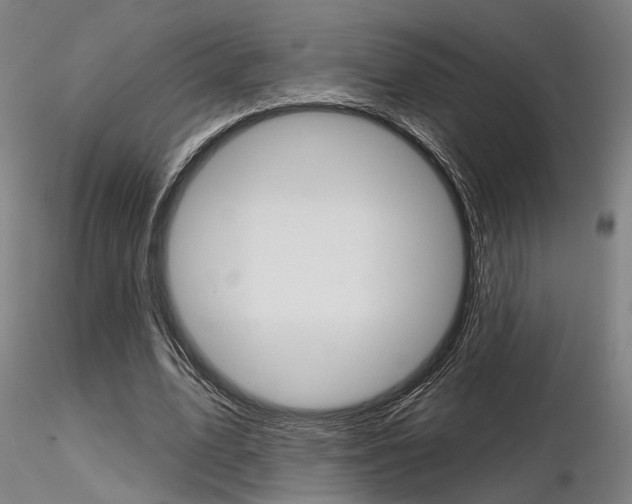 X0000116850583200912220943