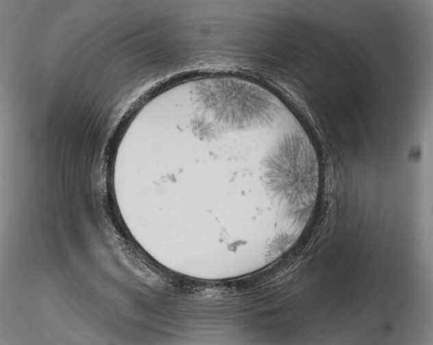 X0000116850584200912220943