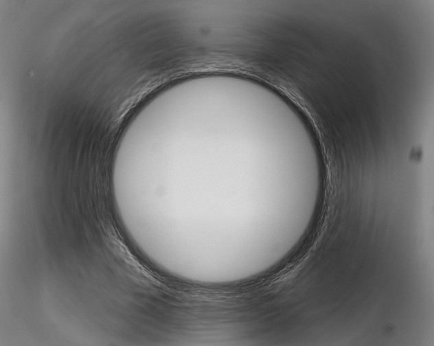 X0000116850585200912220943