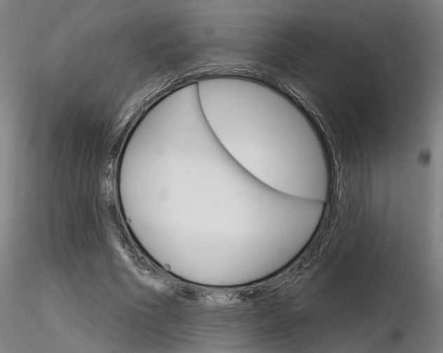 X0000116850586200912220943