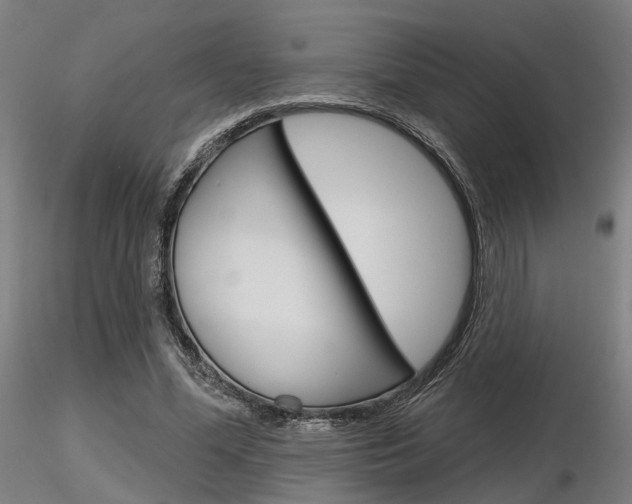 X0000116850588200912220943