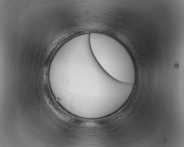 X0000116850590200912220943