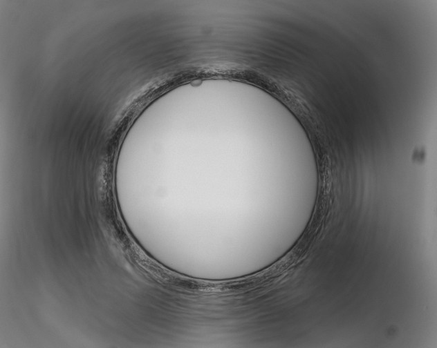 X0000116850591200912220943