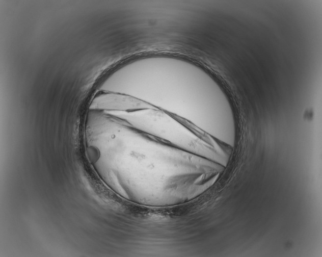 X0000116850592200912220943