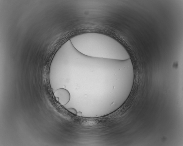 X0000116850594200912220943