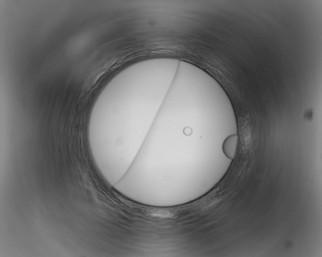 X0000116850595200912220943
