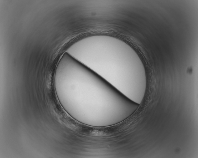 X0000116850596200912220943