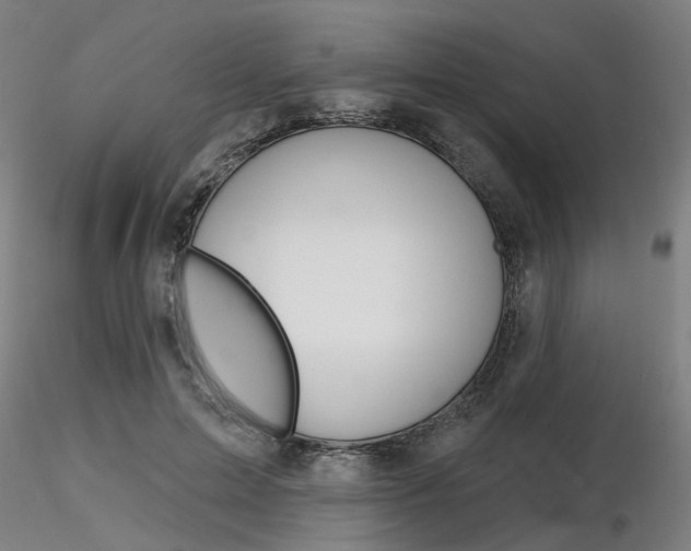 X0000116850599200912220943