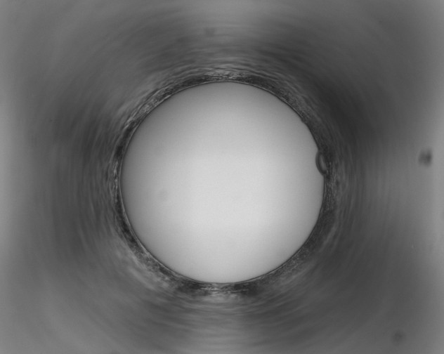 X0000116850601200912220943