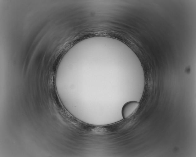 X0000116850603200912220943