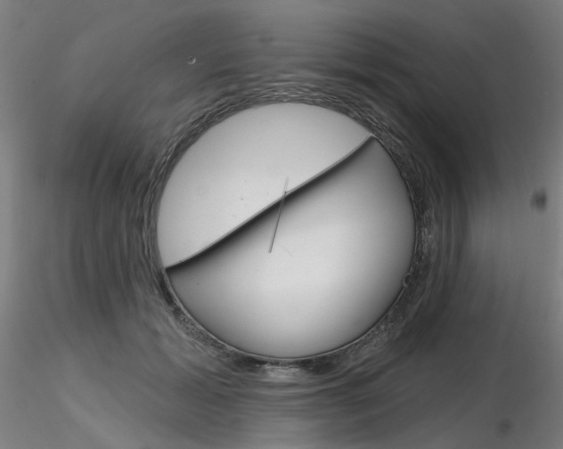 X0000116850605200912220943