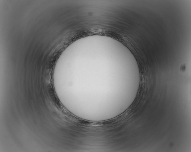 X0000116850606200912220943