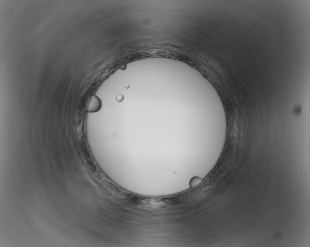 X0000116850607200912220943