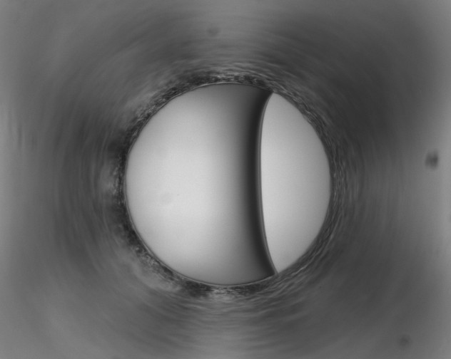 X0000116850608200912220943