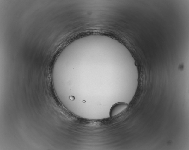 X0000116850609200912220943